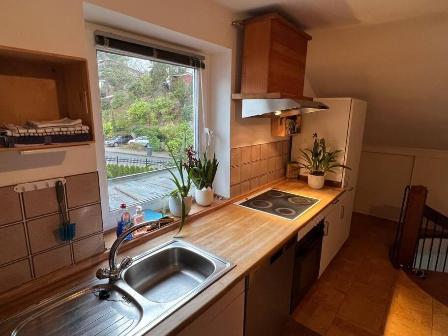 Apartment Near Park